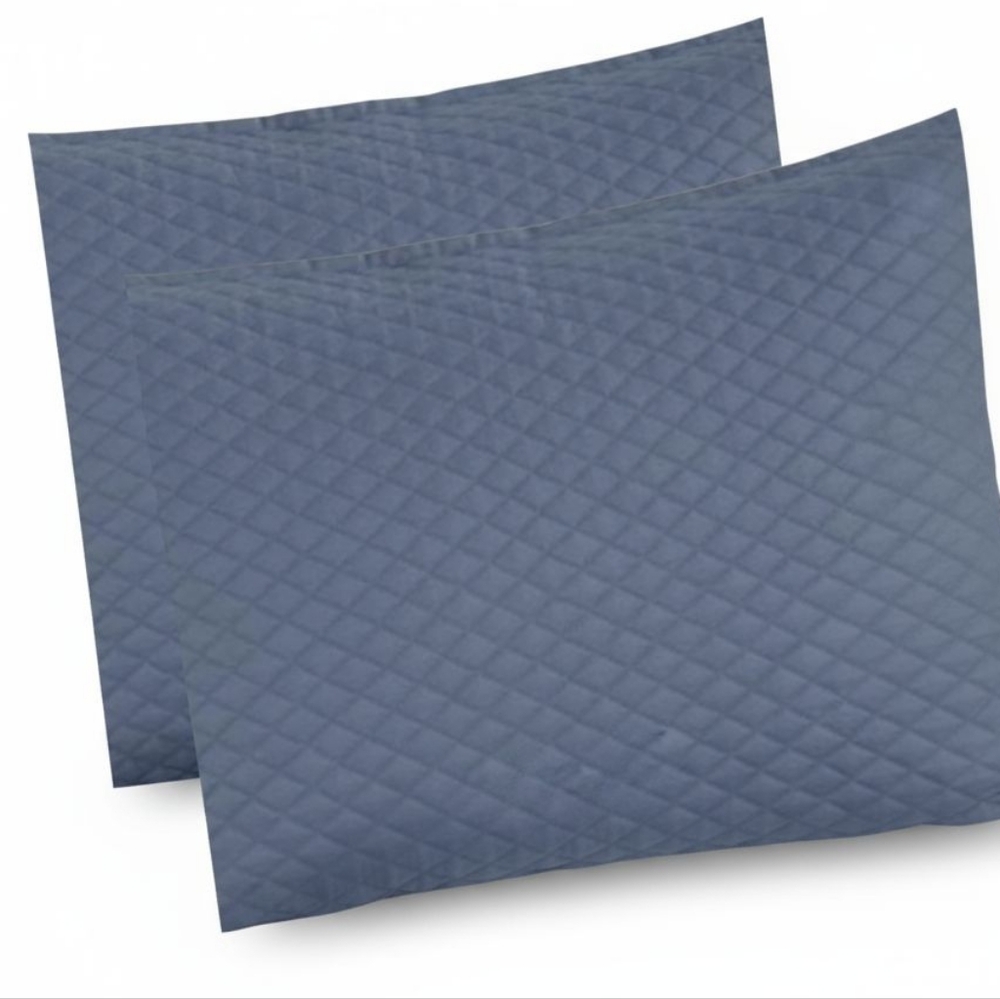 2 BLUE QUILTED PILLOW SHAMS 20X26